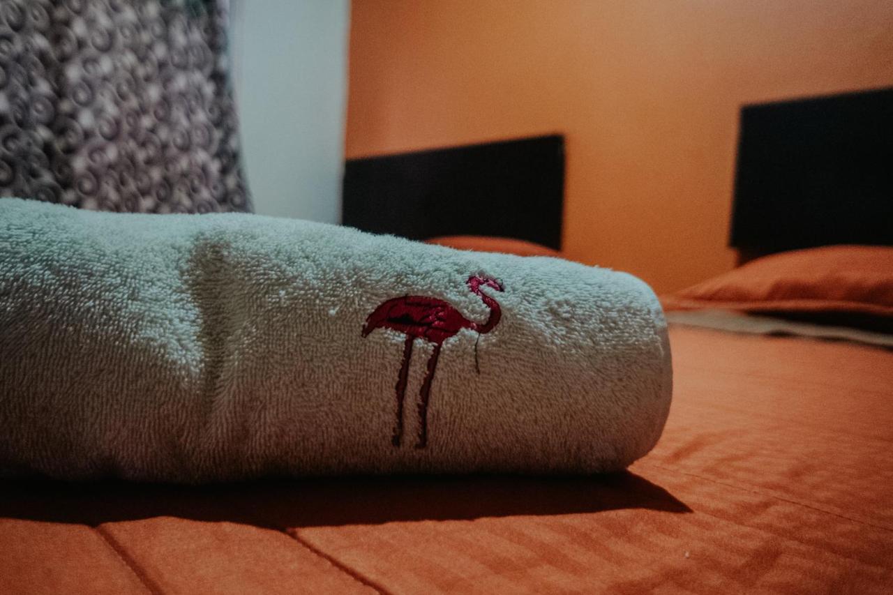 Bungalows Flamingos 린콘 데 구아야비토스 외부 사진